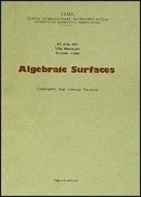 Algebraic surfaces