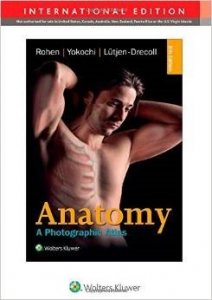 Atlante fotografico di anatomia umana - J. W. Rohen, C. Yokochi, E.  Lutjen-Drecoll