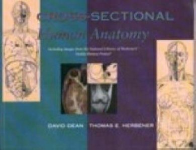 Cross-Sectional Human Anatomy