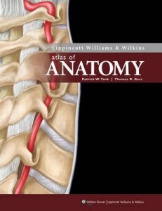 Lippincott Williams and Wilkins Atlas of Anatomy