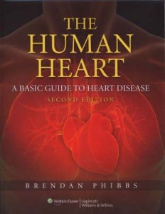 The Human Heart