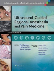 Ultrasound-Guided Regional Anesthesia and Pain Medicine
