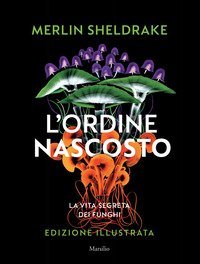 L'ordine nascosto