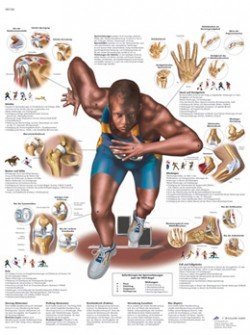 Lesioni in seguito ad attività sportiva
