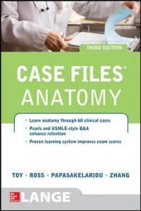 Case File Anatomy