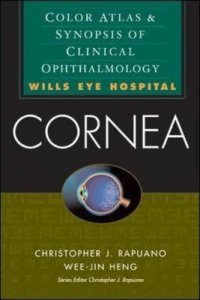 Cornea