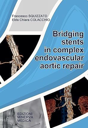 Bridging stents in complex endovascular aortic repair