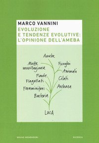 Evoluzione e tendenze evolutive: l'opinione dell'ameba