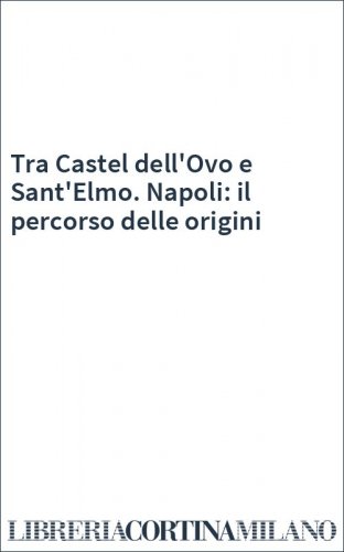 Tra Castel dell'Ovo e Sant'Elmo. Napoli: il percorso delle origini