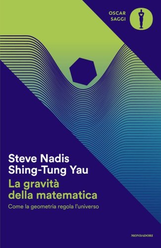 La gravità della matematica. Come la geometria regola l'universo
