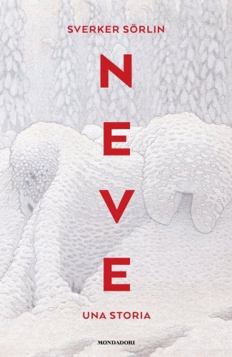 Neve. Una storia