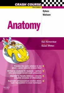 Anatomy