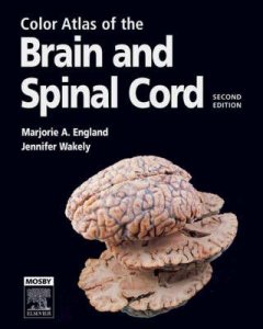 Color Atlas of the Brain and Spinal Cord