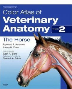 Color Atlas of Veterinary Anatomy