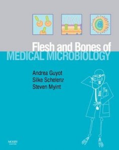 Flesh and Bones of Medical Microbiology