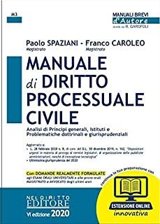Manuale di diritto processuale civile