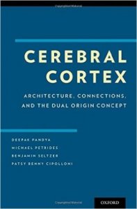 Cerebral Cortex
