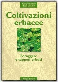 Coltivazioni erbacee
