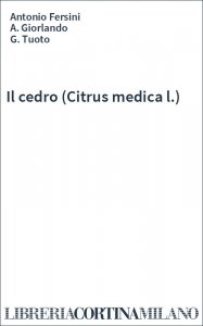 Il cedro (Citrus medica l.)