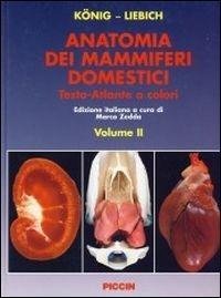 Anatomia dei mammiferi domestici