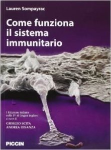 Come funziona il sistema immunitario