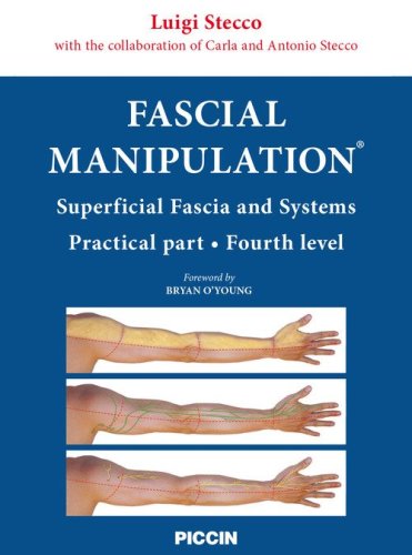 Fascial manipulation. Superficial fascia and systems. Practical part-fourth level