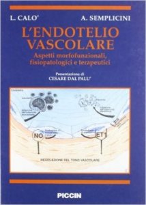 L'endotelio vascolare. Aspetti morfofunzionali, fisiopatologici e terapeutici
