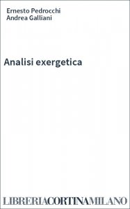 Analisi exergetica