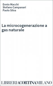 La microcogenerazione a gas naturale