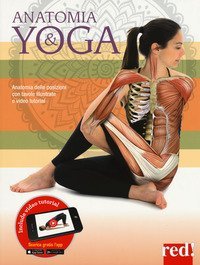 Anatomia & yoga