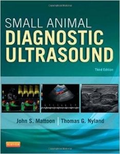 Small animal diagnostic ultrasound