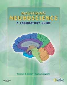 Mastering Neuroscience