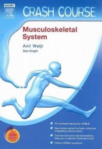 Musculoskeletal System