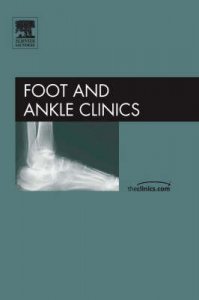 The Calcaneus
