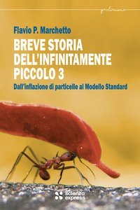 Breve storia dell'infinitamente piccolo