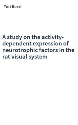 A study on the activity-dependent expression of neurotrophic factors in the rat visual system