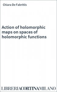 Action of holomorphic maps on spaces of holomorphic functions