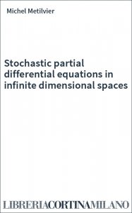 Stochastic partial differential equations in infinite dimensional spaces