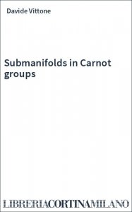 Submanifolds in Carnot groups