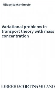 Variational problems in transport theory with mass concentration
