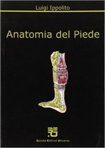 Anatomia del piede