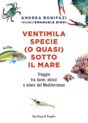 Ventimila specie (o quasi) sotto il mare. Viaggio tra dune, abissi e alieni del Mediterraneo