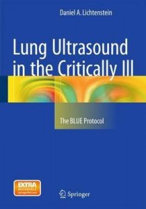 Lung Ultrasound in the Critically III