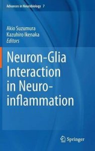 Neuron-Glia Interaction in Neuroinflammation