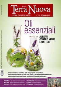 Terra nuova