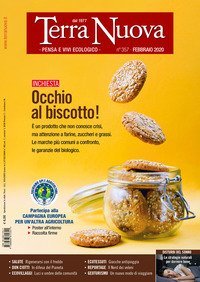 Terra nuova