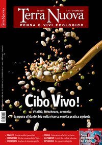 Terra nuova