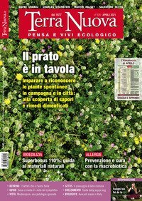 Terra nuova