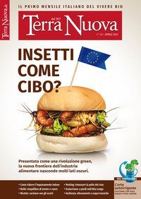 Terra nuova