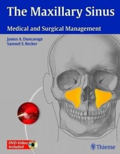 The Maxillary Sinus